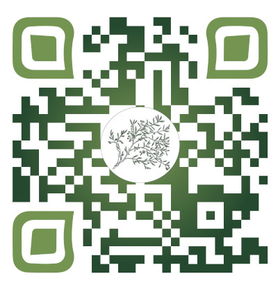 Menu QR Code